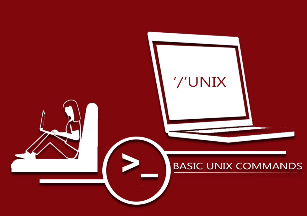 Basic UNIX commands