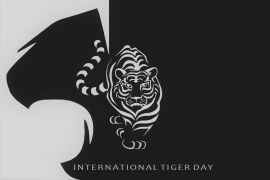 International Tiger Day : History, Quotes, and Messages